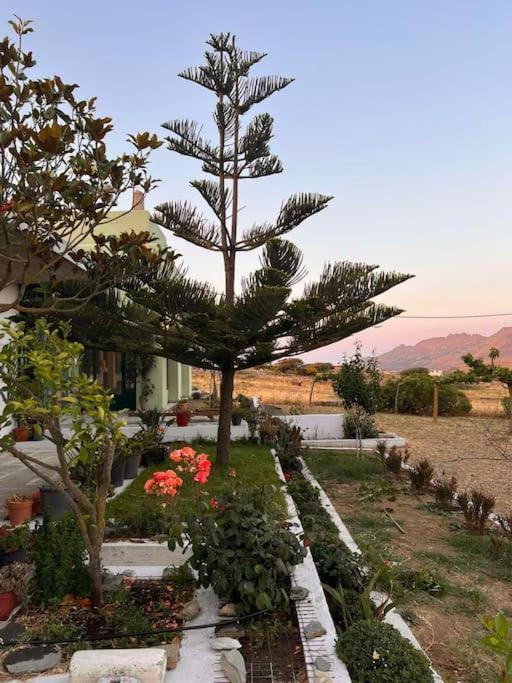 Borgo Majoca - Μονοκατοικία Σε Κυκλαδίτικο Νησί Mési Eksteriør bilde